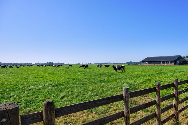Farm and Ranch Fences